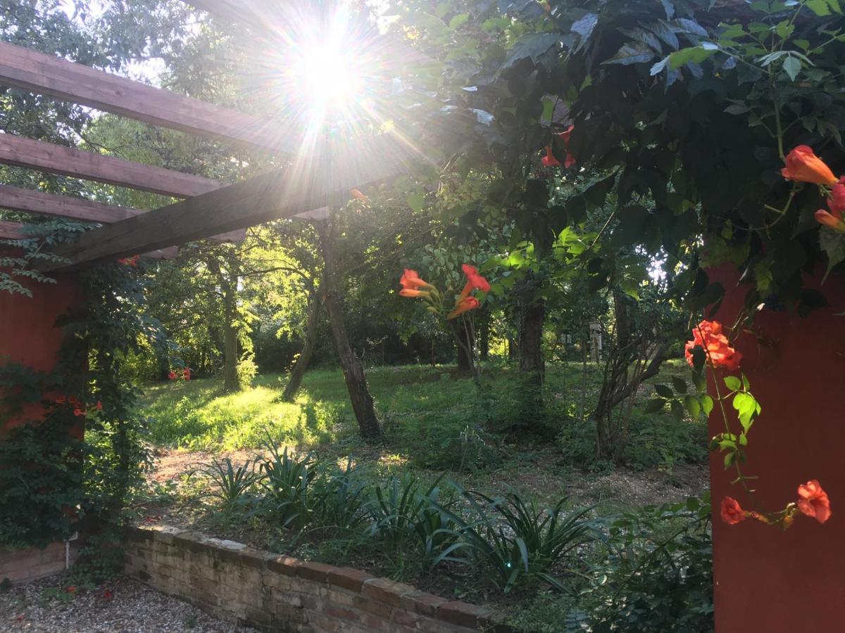 Monfra - Ospitalita Rurale, Vigneti E Cantina Vignale Buitenkant foto