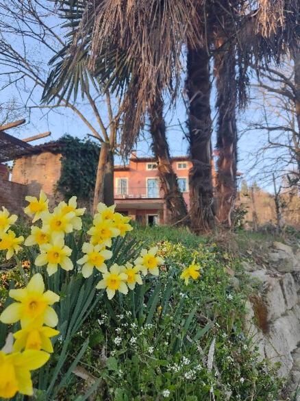 Monfra - Ospitalita Rurale, Vigneti E Cantina Vignale Buitenkant foto